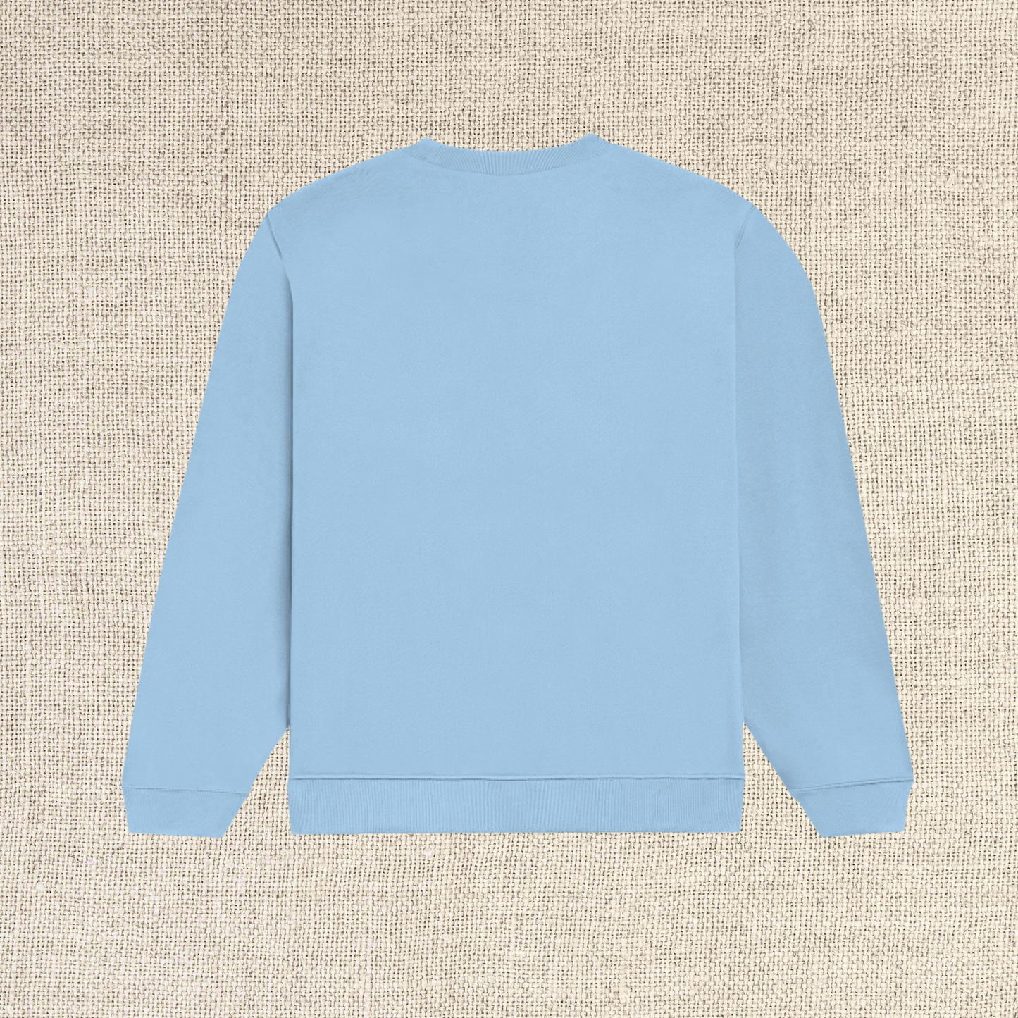Baby Blue Plain Sweatshirt